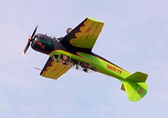 высший пилотаж на спортивных самолетах