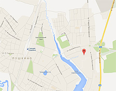 Город Пушкино