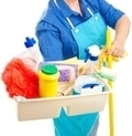 Профессиональные моющие и чистящие средства