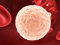 Клинический анализ крови лейкоциты расшифровка thumbnail