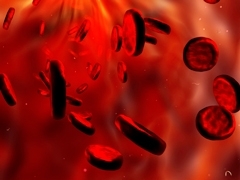Что повышает гемоглобин? Список продуктов, повышающих гемоглобин в крови