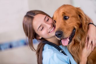 Стоимость вызова ветеринарного врача