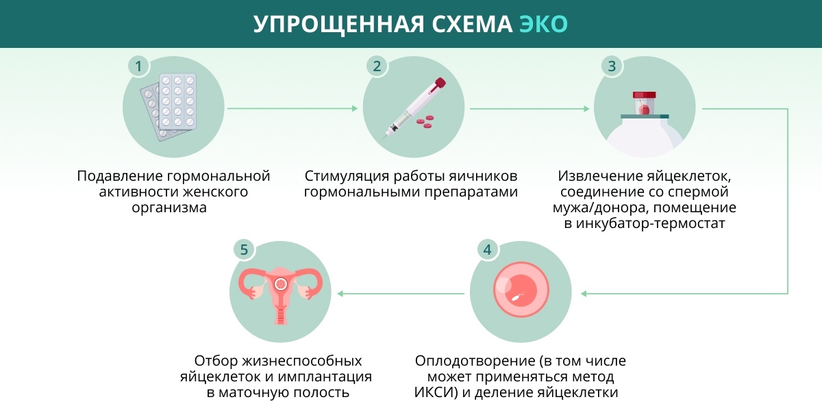 ЭКО с донорской спермой - сколько стоит ЭКО с донором