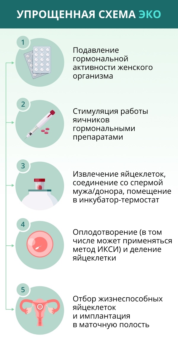 Общая информация - Забайкальский краевой перинатальный центр