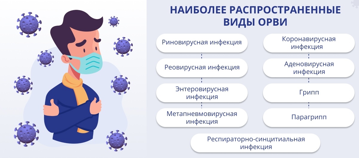 Орви б. Классификация ОРЗ И ОРВИ. Разновидности ОРВИ вирусов. Виды респираторных заболеваний. Острые респираторные вирусные инфекции.