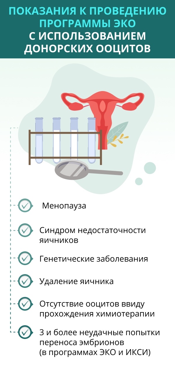 Выбрать донора для эко. Данные анализов донора эко.