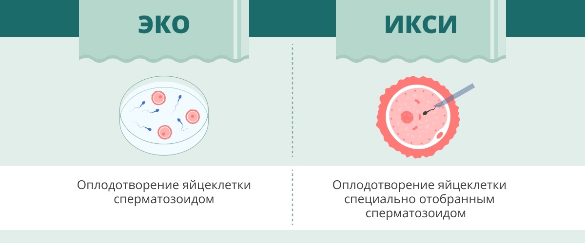 Донорская сперма в Москве | Цена донорской спермы