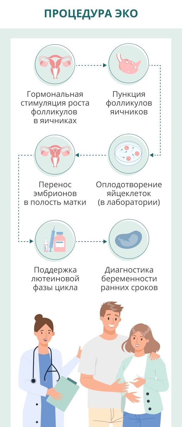 Стоимость ЭКО и ИКСИ: сколько стоят процедуры и что входит в цену?