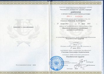 Пластика-2014