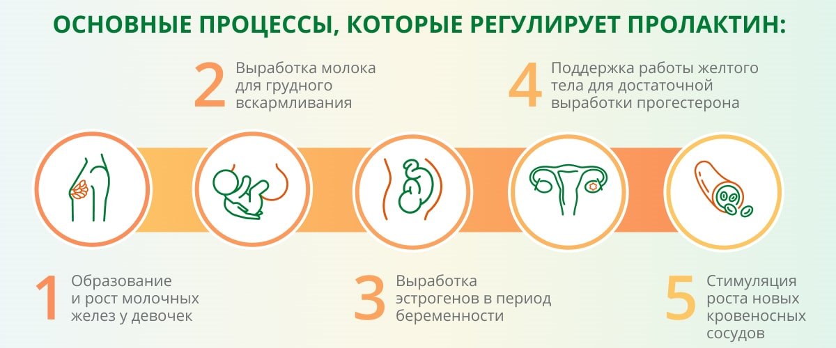 Анализ крови на ХГЧ, анализ крови беременных в Нижнем Новгороде | Тонус МАМА