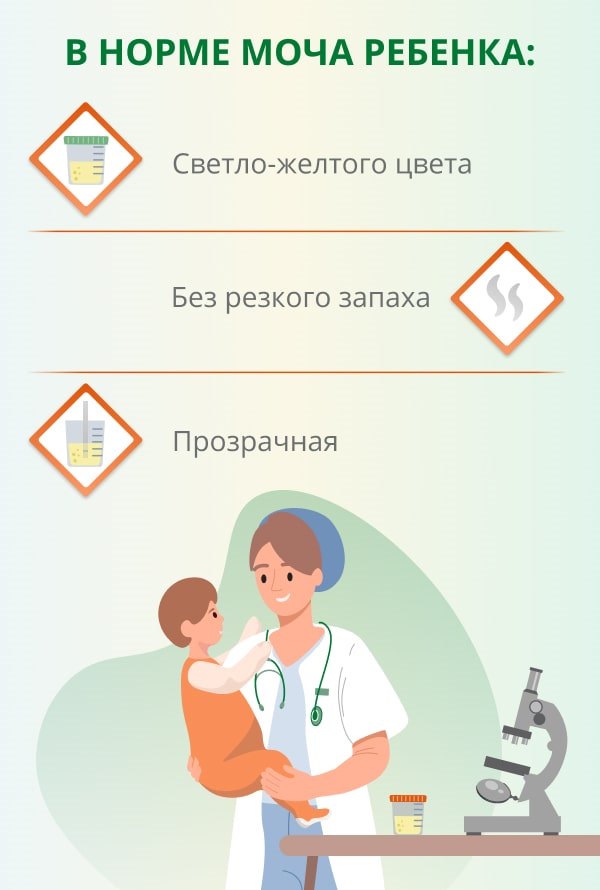 Инфекции мочевой системы у детей | Блог о здоровье в клинике 