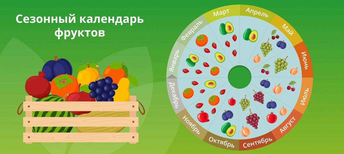 Сезонный календарь фруктов