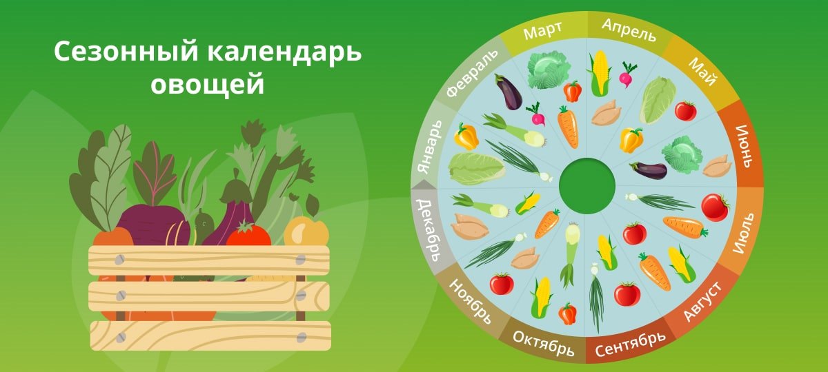 Сезонный календарь овощей