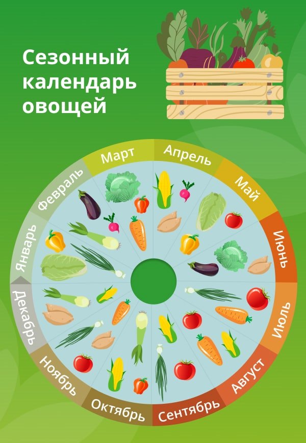 Сохраняем овощи и фрукты на зиму: советы незрячих кулинаров