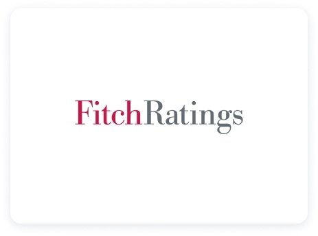 Fitch Ratings Inc