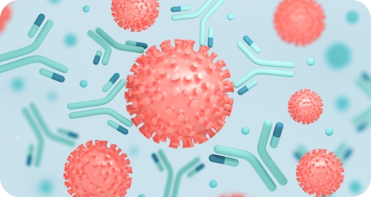 Какие антитела бывают?