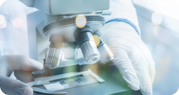 Особенности проведения ИФА