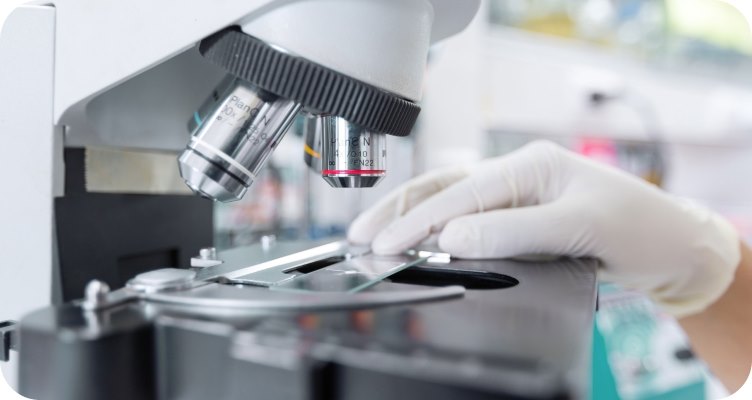 Исследуемый биоматриал и правила сдачи