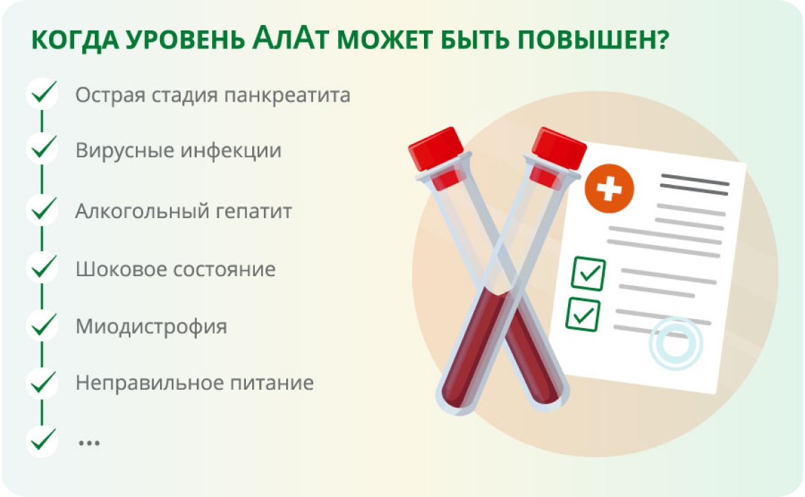 Проверка здоровья: какие анализы нужно сдать и как проверить весь организм  полностью?