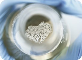 Физико-химические характеристики