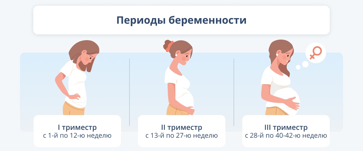 Информация о беременности