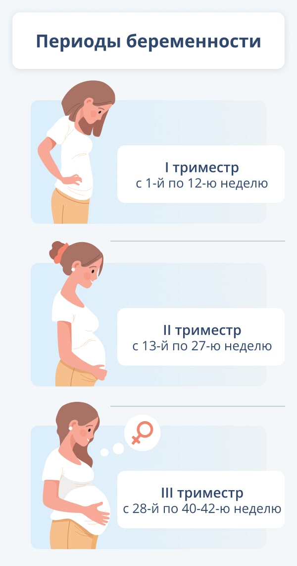 Фотогалерея УЗИ беременности