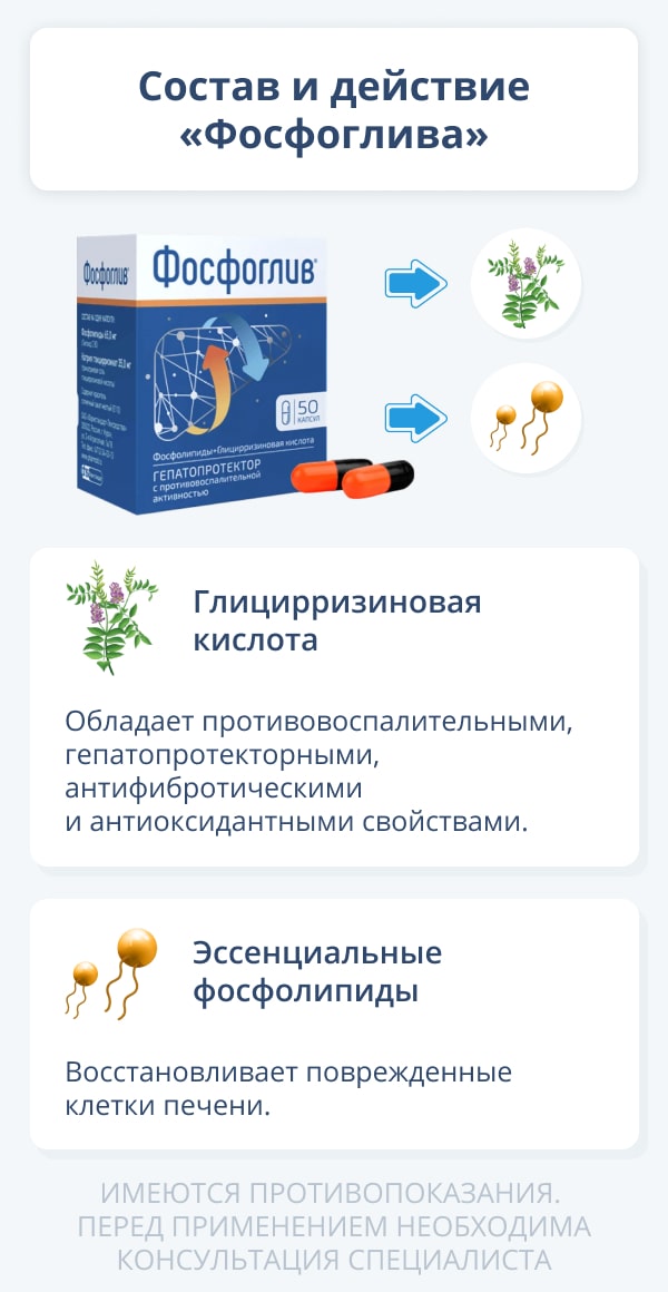 Фосфоглив Цена В Спб
