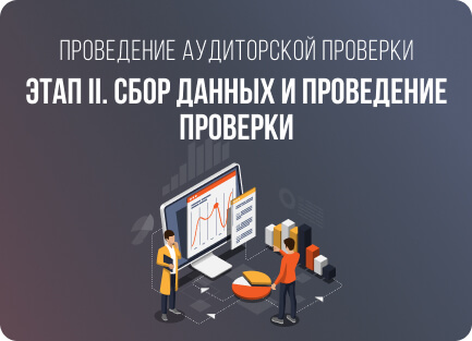 Проведение аудиторской проверки