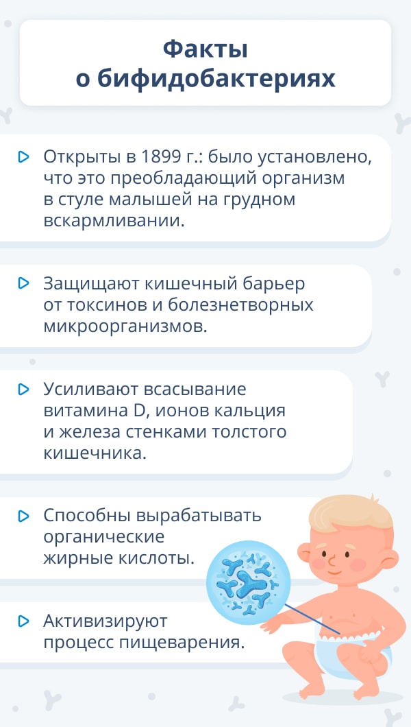 Бактерии для грудничков для регулярного стула