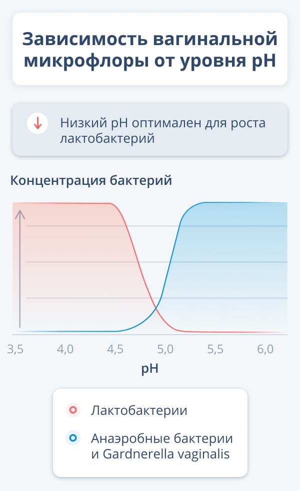 Микроэкология и защитные механизмы влагалища