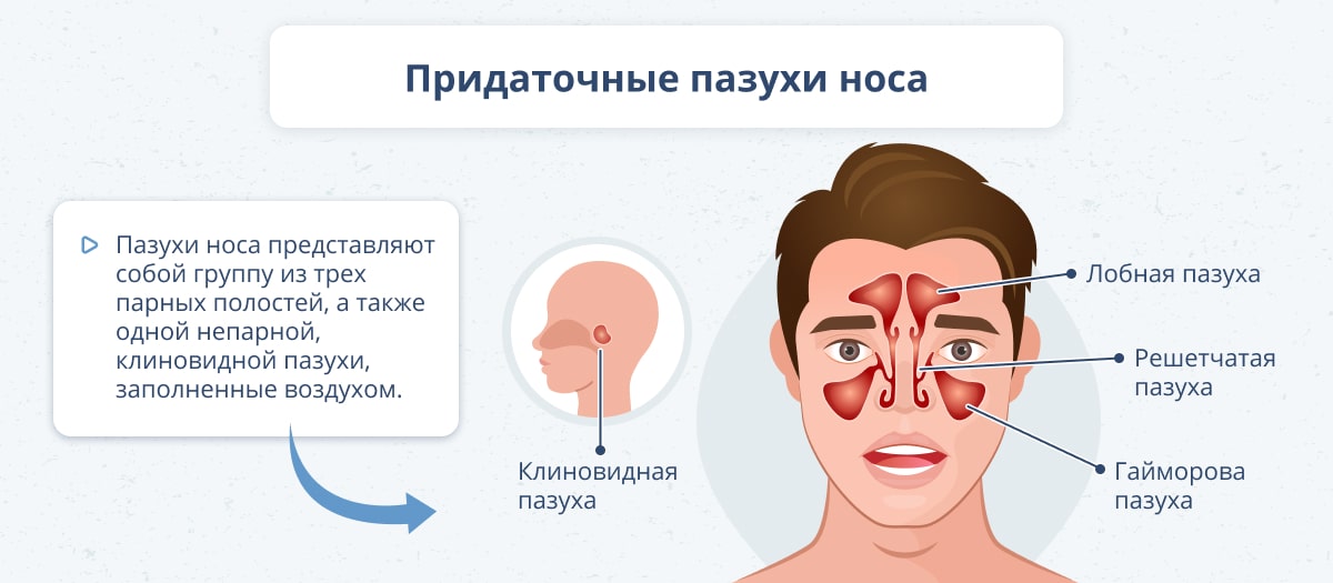 Течет из носа: все об инфекционном рините | Статьи med