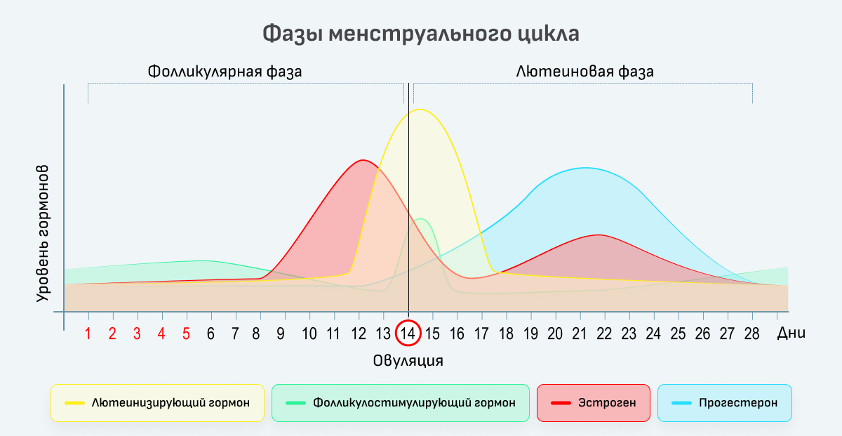 Обильные месячные