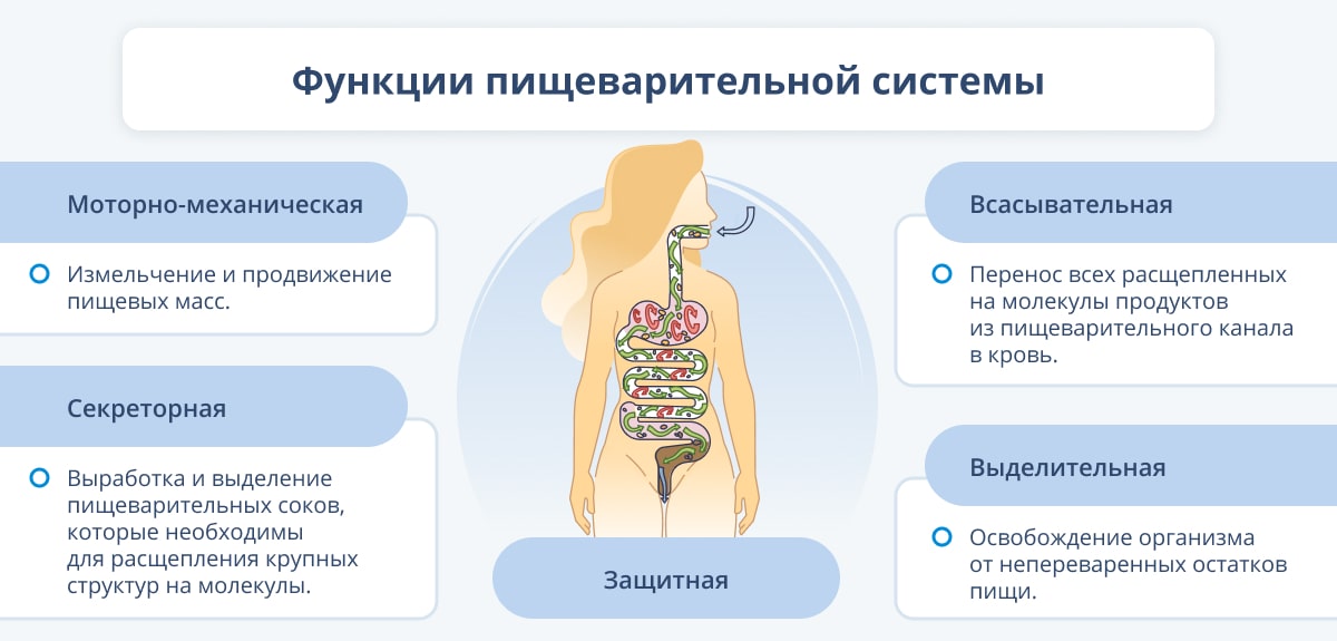 Десять правил для улучшения пищеварения без таблеток - Российская газета