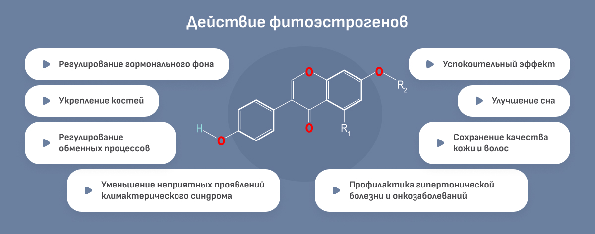 Борисенко А.С.